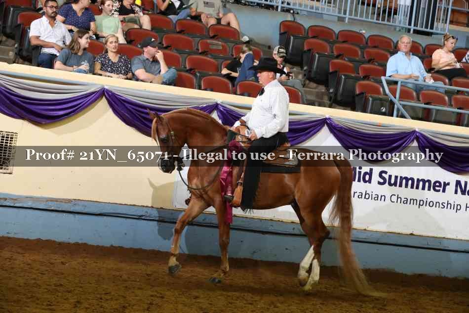 Proof Number 21YN_65071