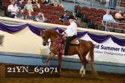 21YN_65071 thumbnail