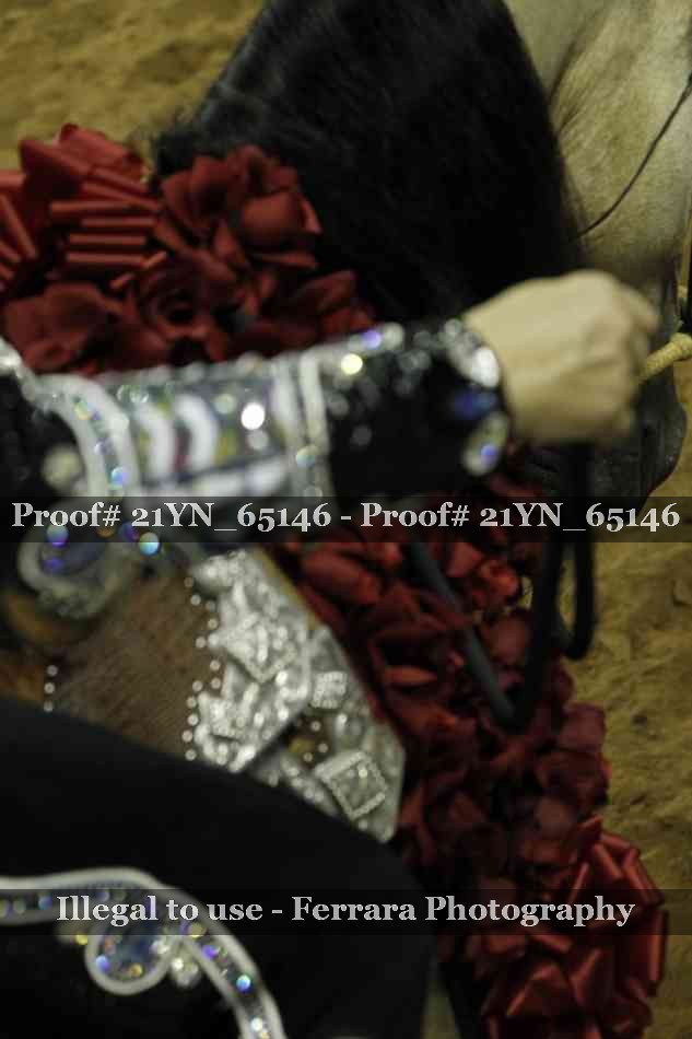 Proof Number 21YN_65146