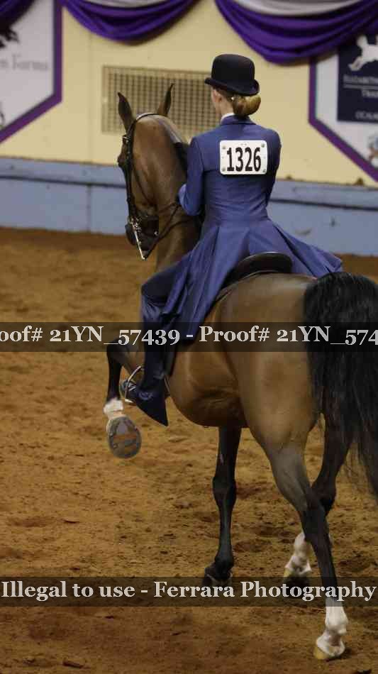 Proof Number 21YN_57439