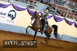 21YN_57457 thumbnail