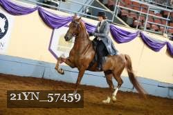 21YN_57459 thumbnail