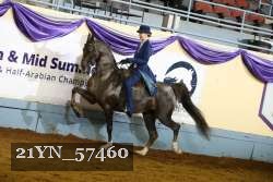 21YN_57460 thumbnail