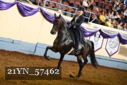 21YN_57462 thumbnail