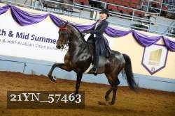 21YN_57463 thumbnail