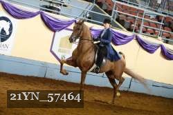 21YN_57464 thumbnail