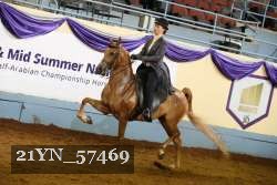 21YN_57469 thumbnail