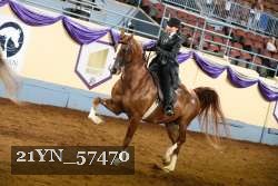 21YN_57470 thumbnail