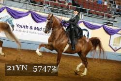 21YN_57472 thumbnail