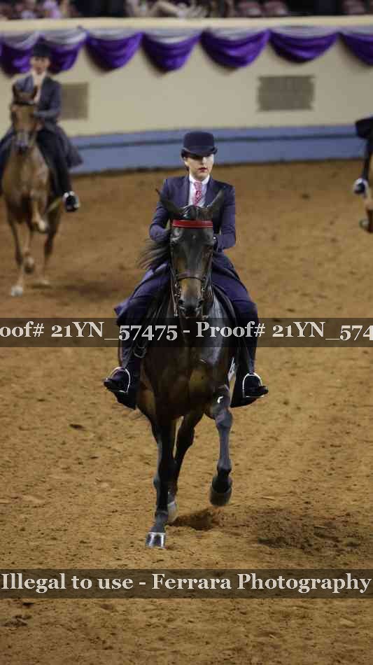 Proof Number 21YN_57475