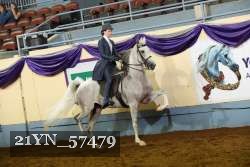21YN_57479 thumbnail