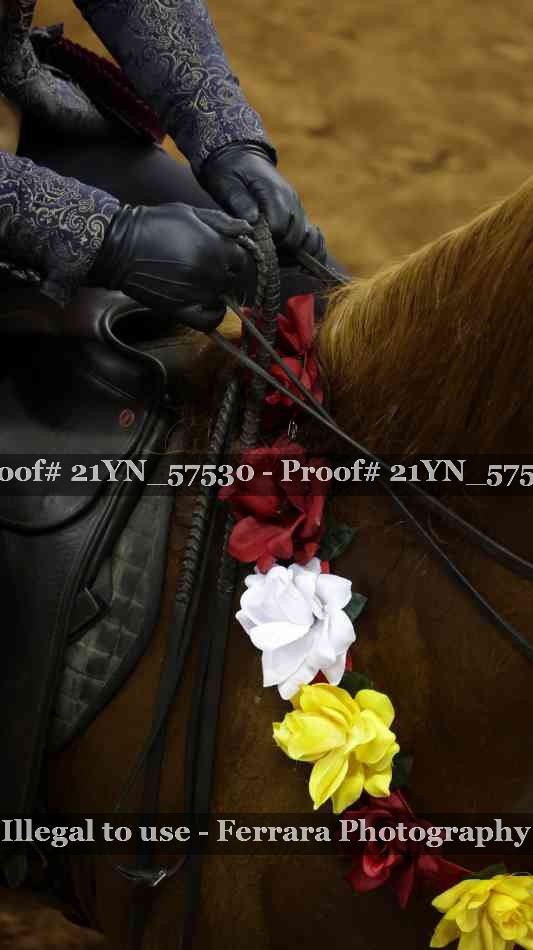 Proof Number 21YN_57530