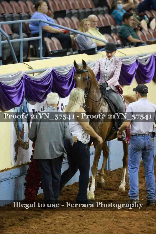 Proof Number 21YN_57541