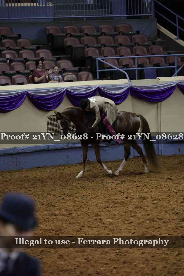 Proof Number 21YN_08628