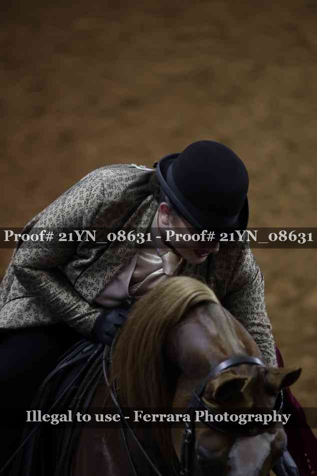 Proof Number 21YN_08631