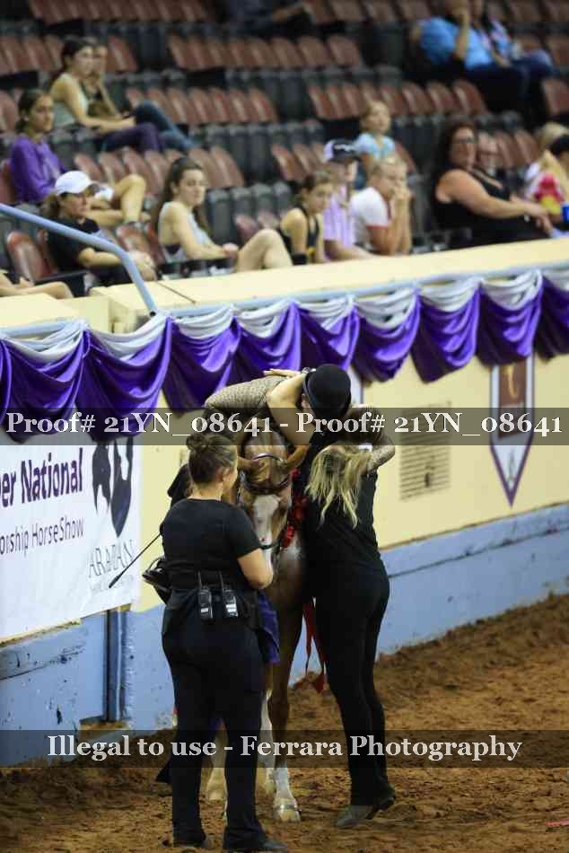 Proof Number 21YN_08641