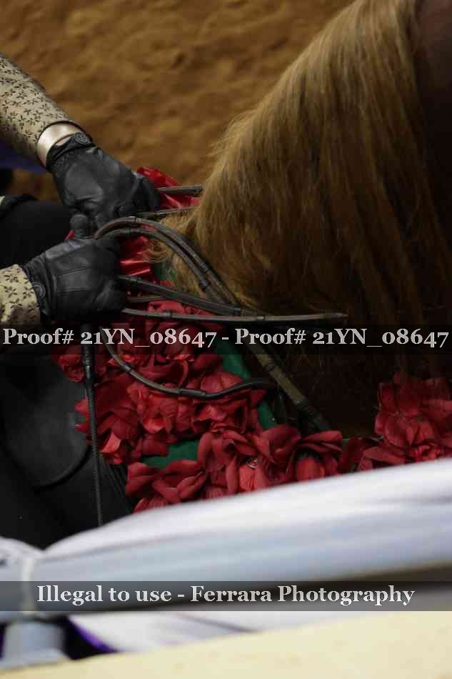 Proof Number 21YN_08647