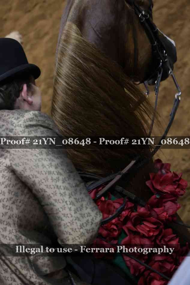 Proof Number 21YN_08648