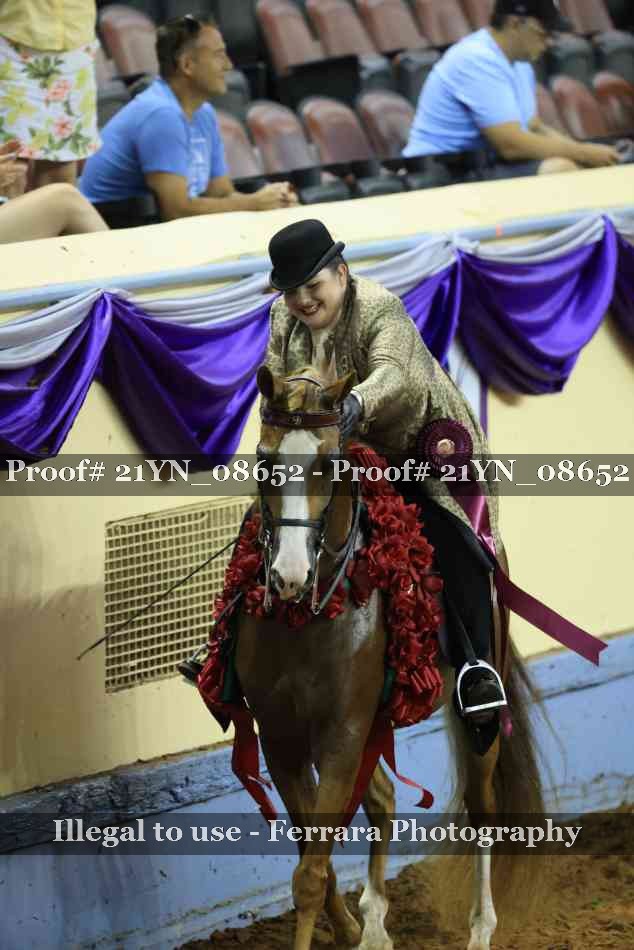 Proof Number 21YN_08652