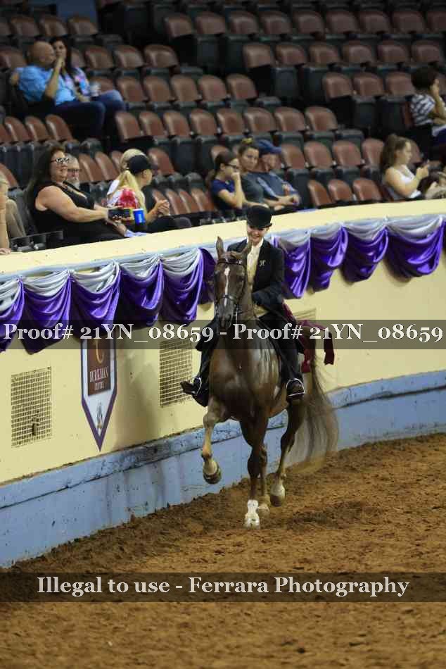 Proof Number 21YN_08659
