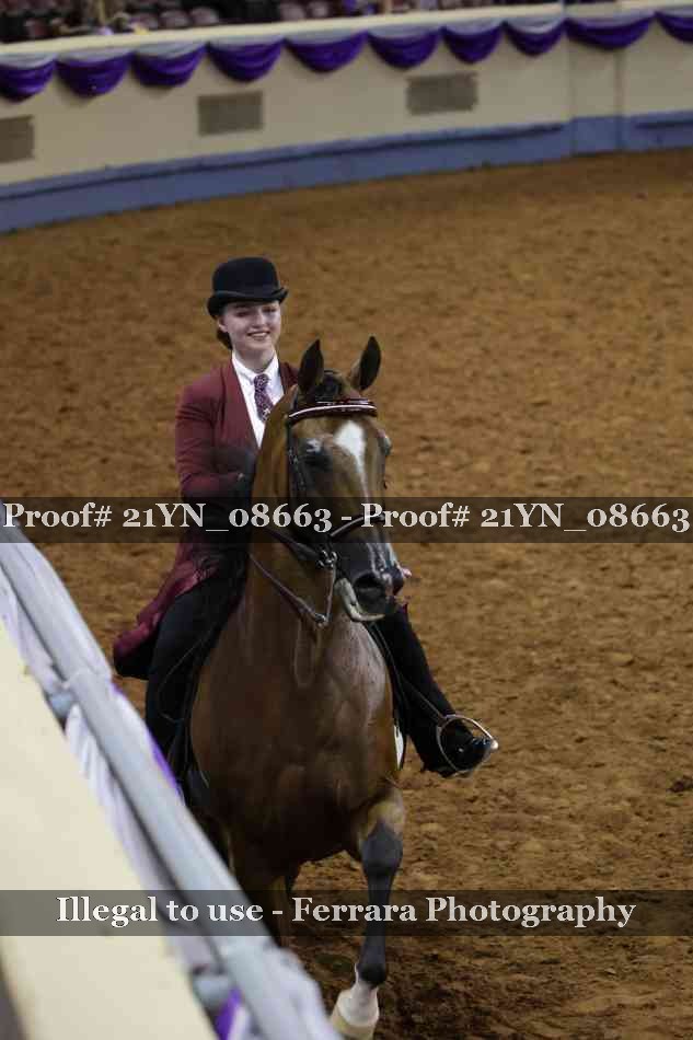Proof Number 21YN_08663