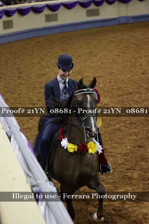 Proof Number 21YN_08681