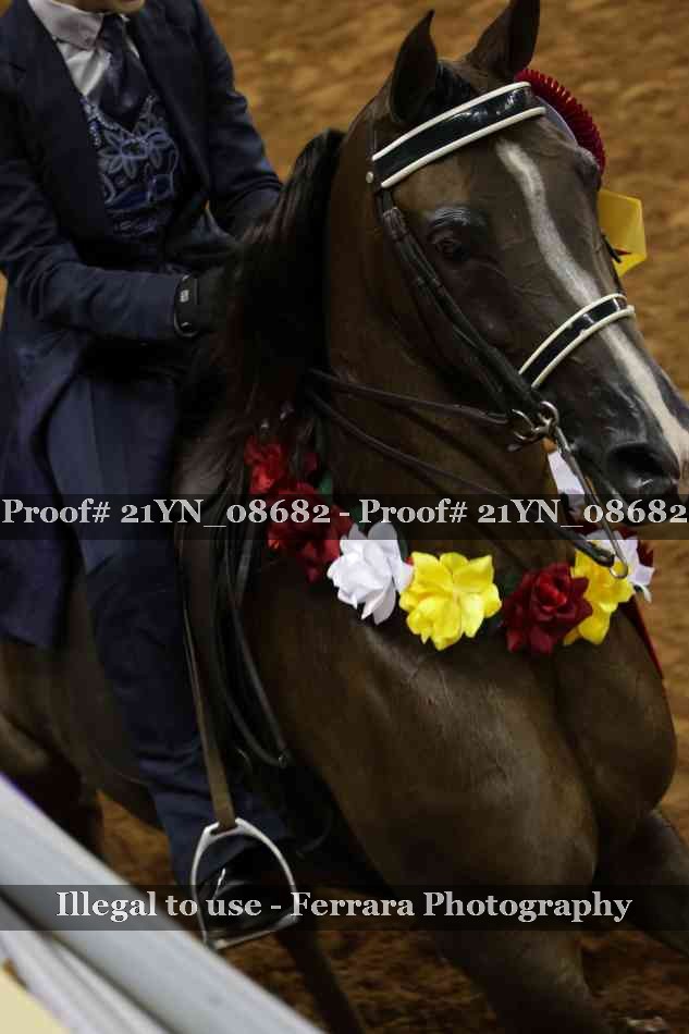 Proof Number 21YN_08682