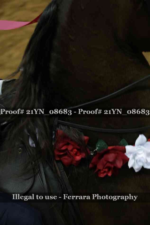 Proof Number 21YN_08683