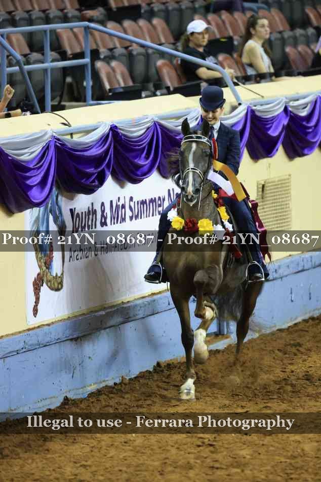 Proof Number 21YN_08687