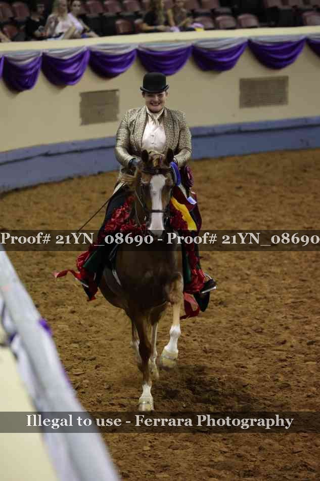 Proof Number 21YN_08690