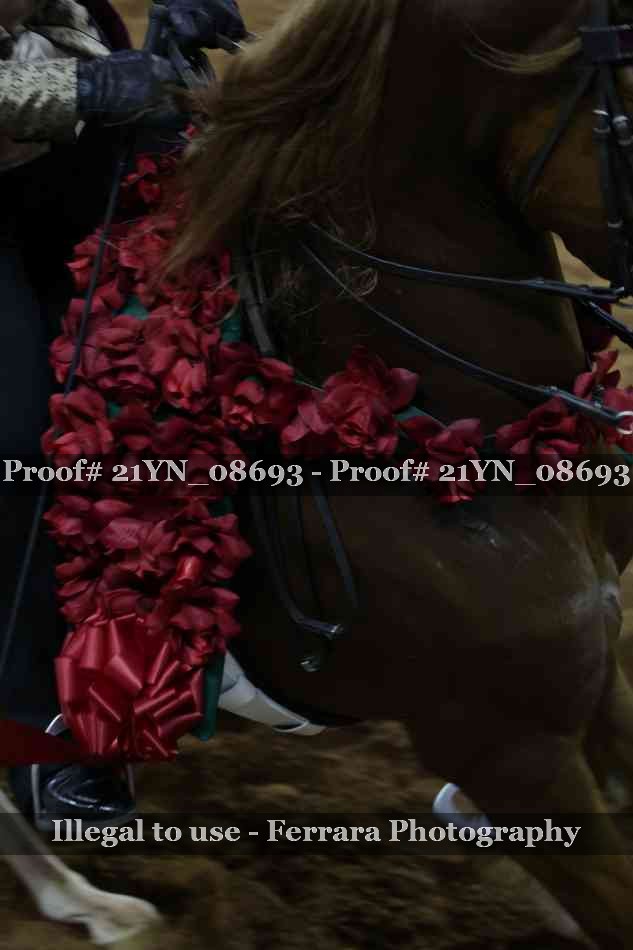 Proof Number 21YN_08693