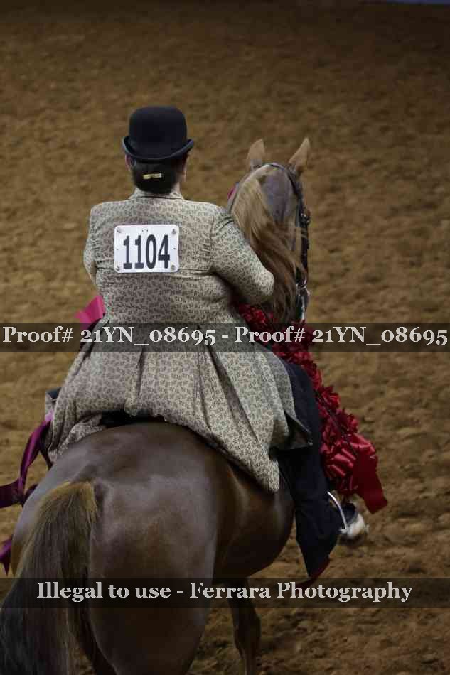 Proof Number 21YN_08695