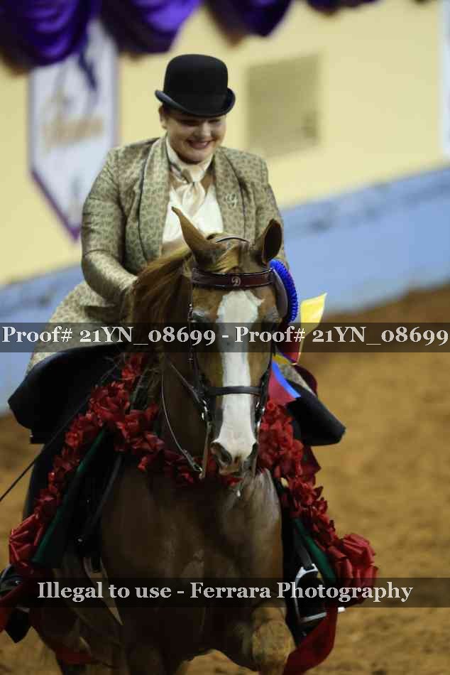 Proof Number 21YN_08699