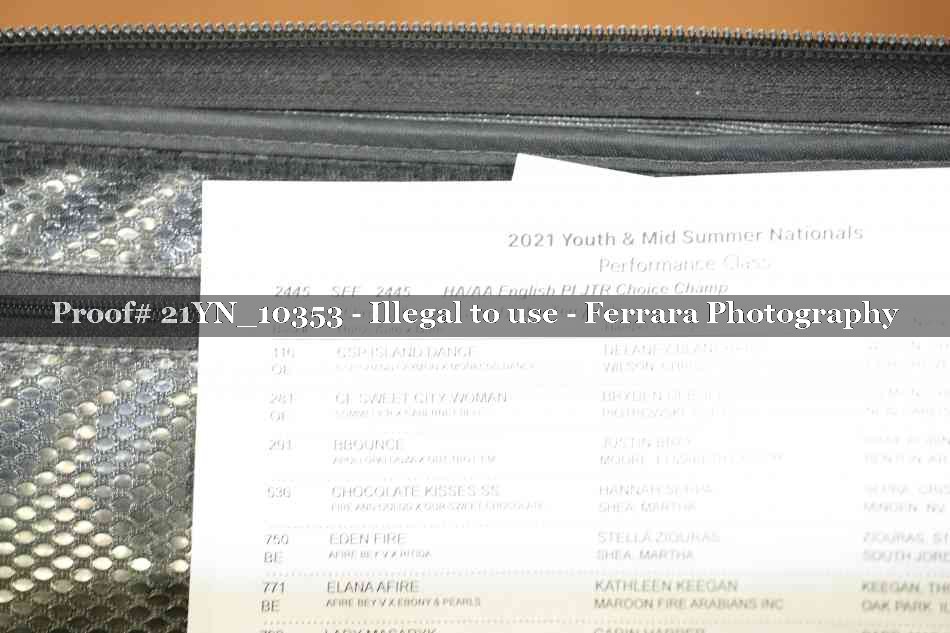 Proof Number 21YN_10353