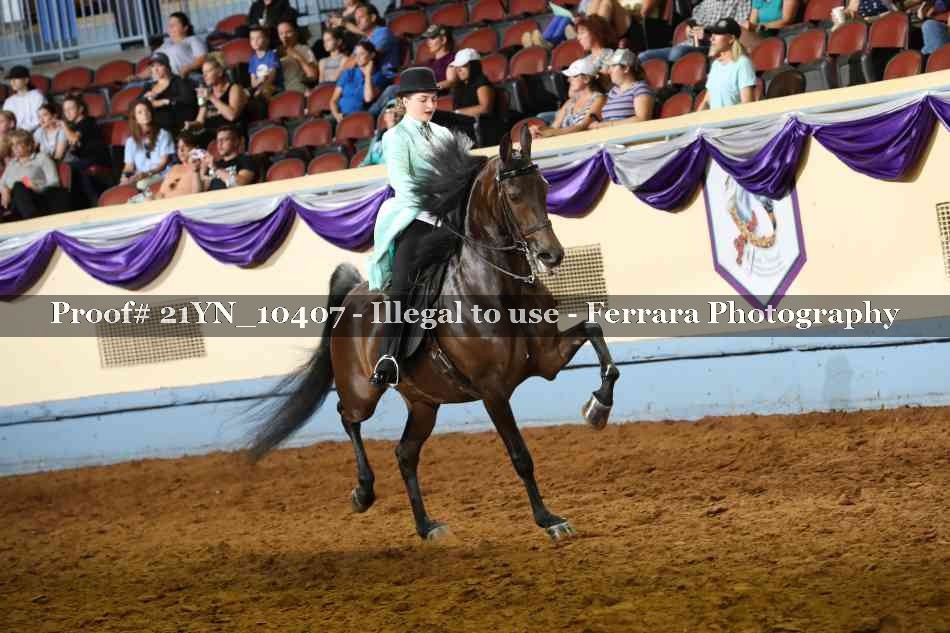 Proof Number 21YN_10407