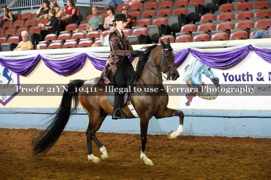 Proof Number 21YN_10411