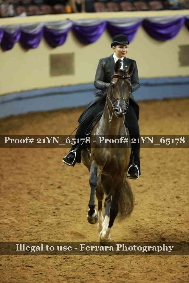 Proof Number 21YN_65178