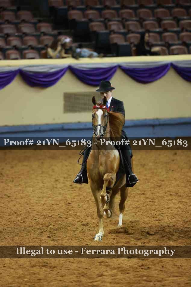 Proof Number 21YN_65183