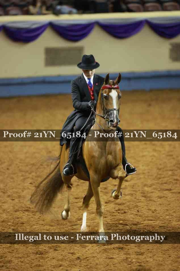 Proof Number 21YN_65184