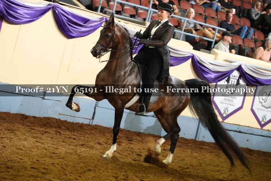 Proof Number 21YN_65191