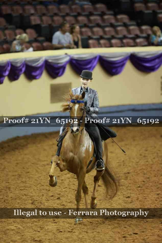 Proof Number 21YN_65192