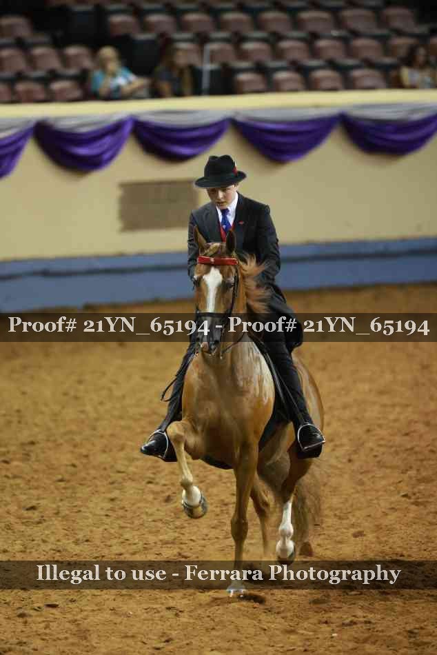 Proof Number 21YN_65194