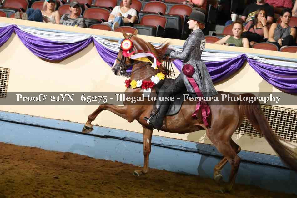 Proof Number 21YN_65275
