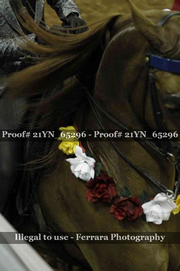 Proof Number 21YN_65296