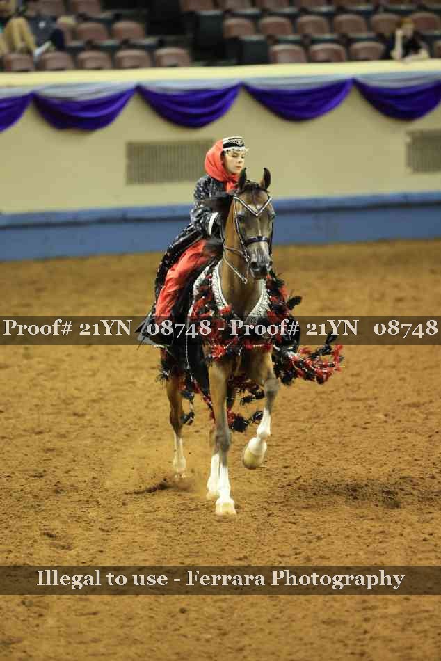 Proof Number 21YN_08748