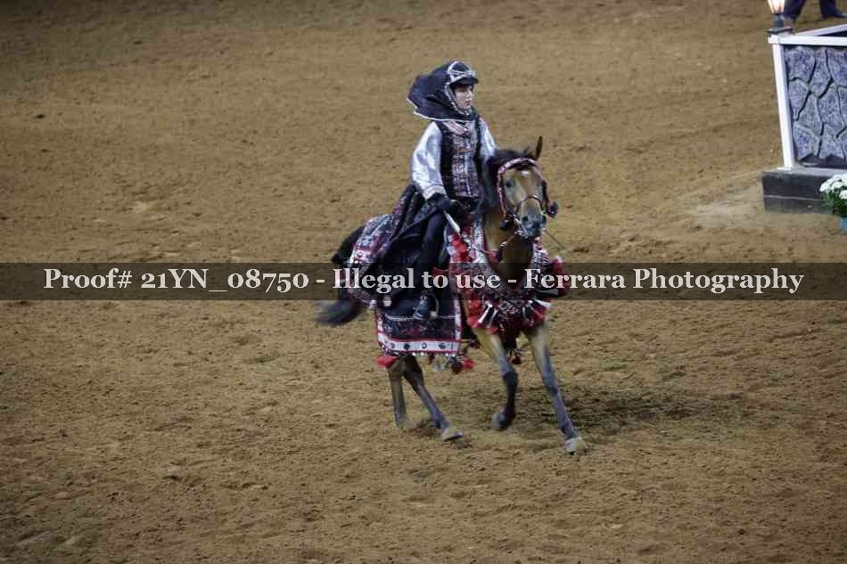 Proof Number 21YN_08750