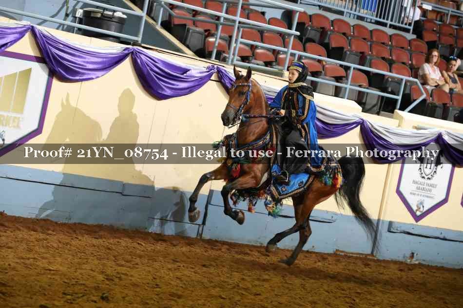 Proof Number 21YN_08754