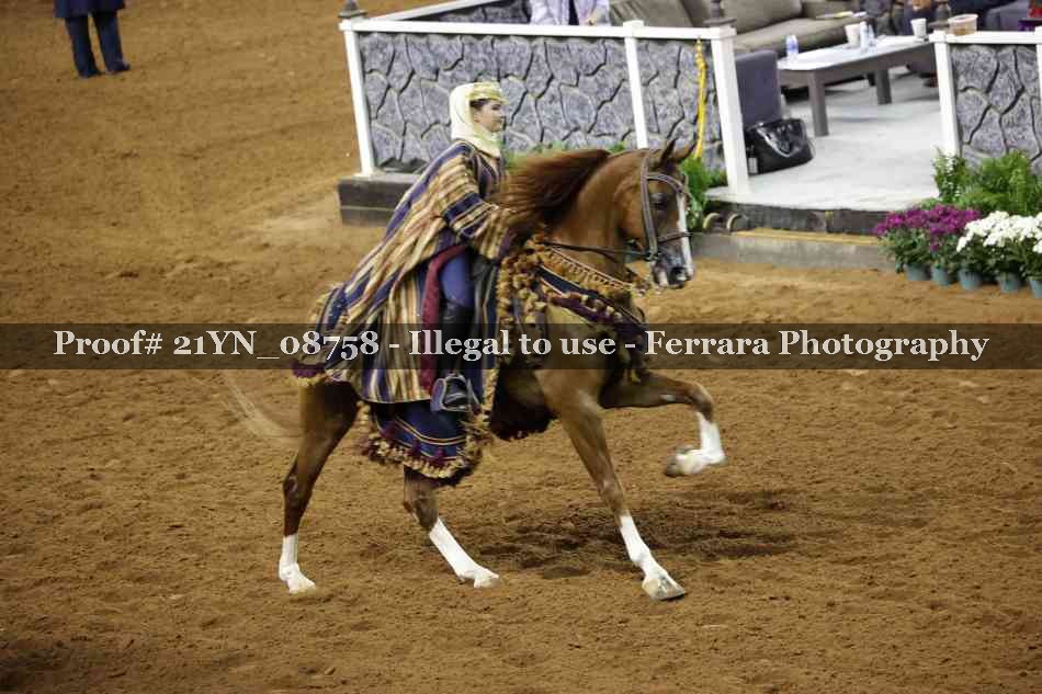 Proof Number 21YN_08758