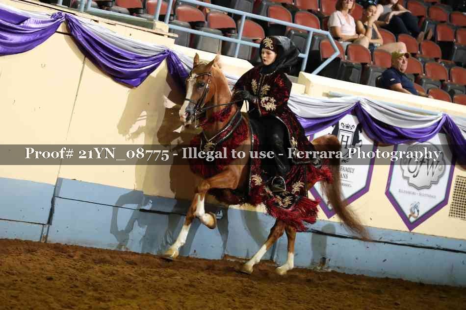 Proof Number 21YN_08775