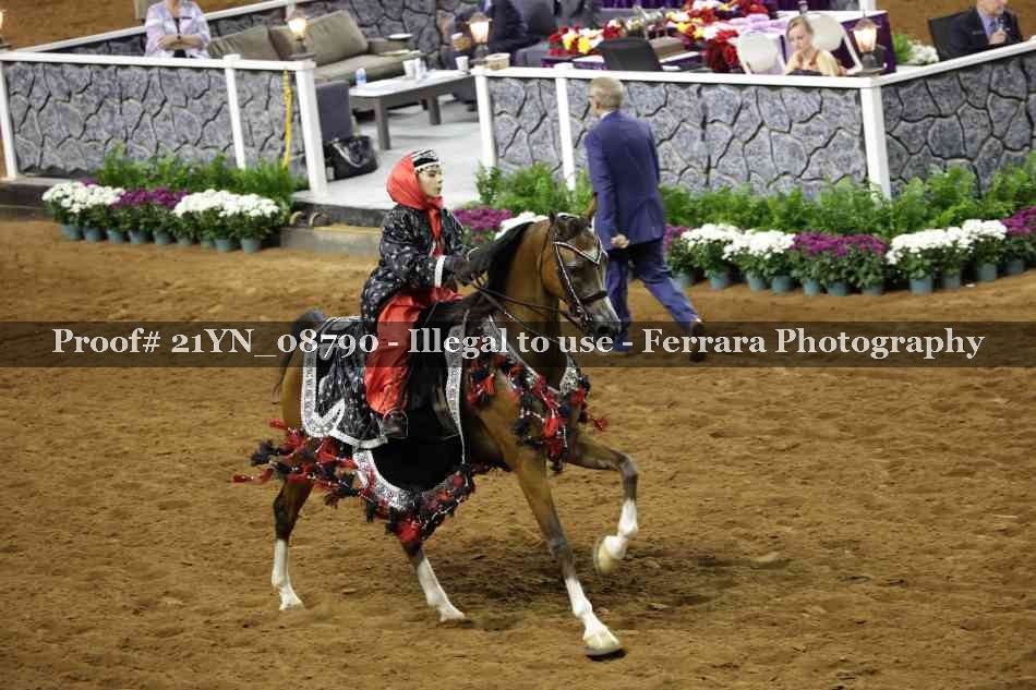 Proof Number 21YN_08790